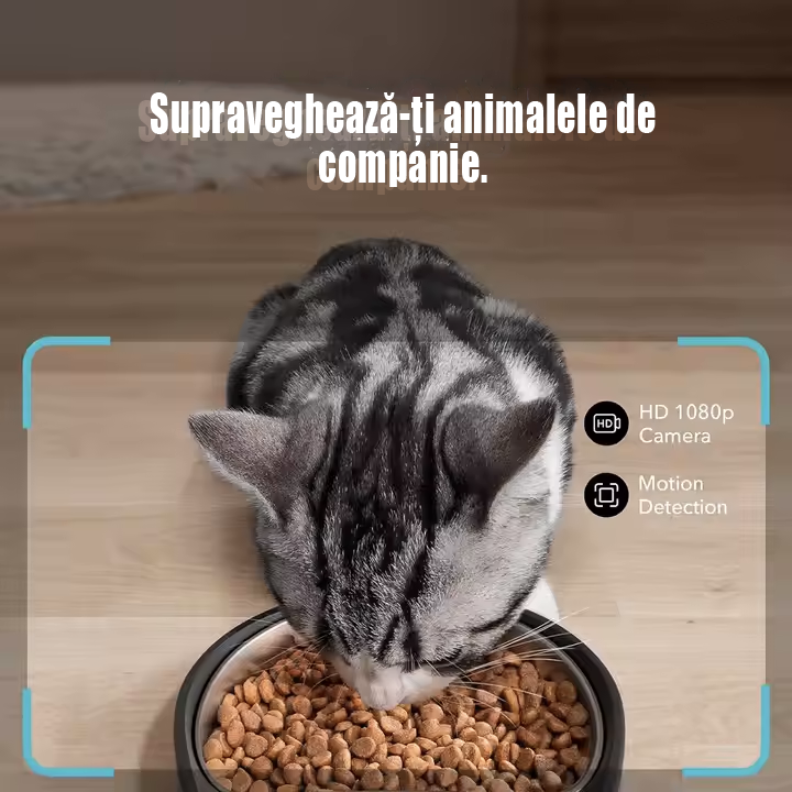 Hranitorul Inteligent Pawzo - 4L Capacitate si Camera HD